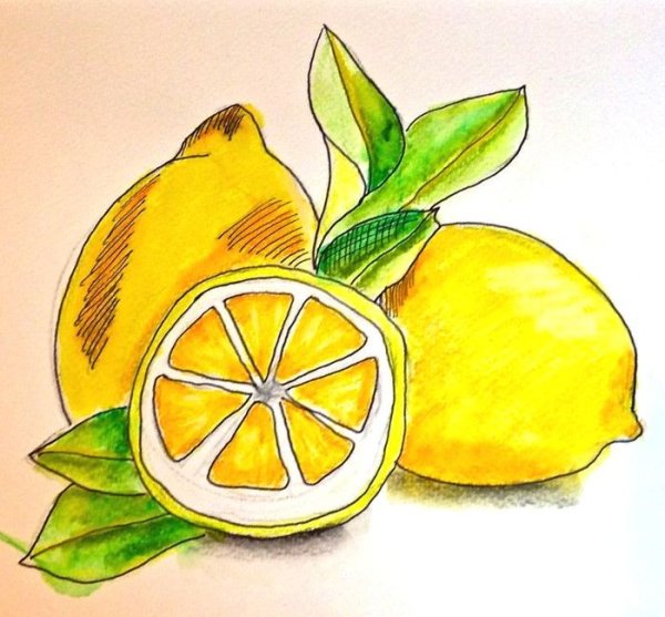 Рисунки маркерами еда