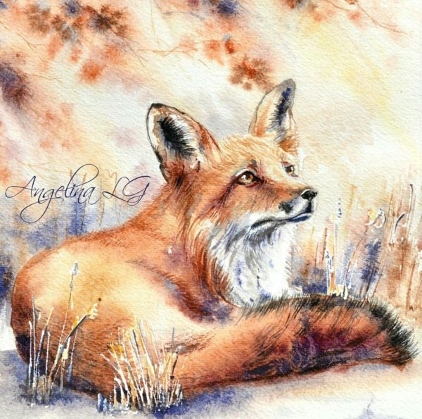 Акварели художника Tilen ti.