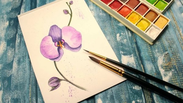 Рисунки акварелью для срисовки