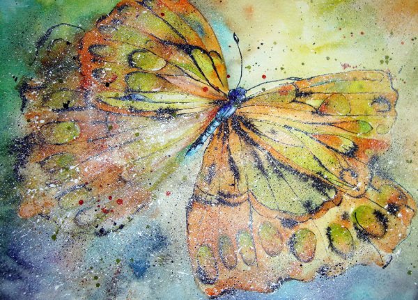 Акварельные картины Tilen ti