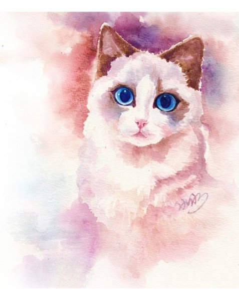 Совенок акварель