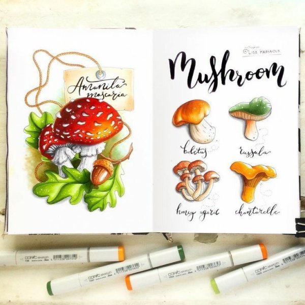 Поэтапное рисование маркерами