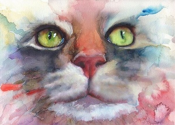 Акварельные коты художника Alex Carter