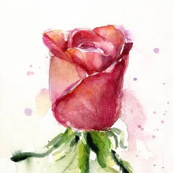 Букет акварелью для начинающих