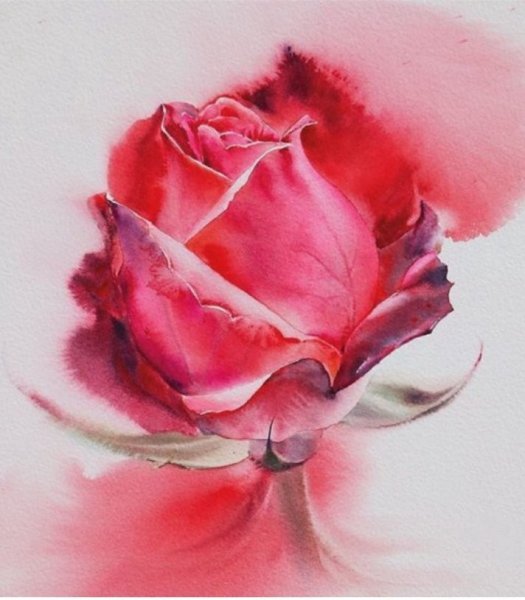 Розы... Художник - акварелист la Fe, Тайланд.