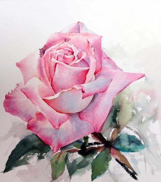 Ла Фе художник акварелист