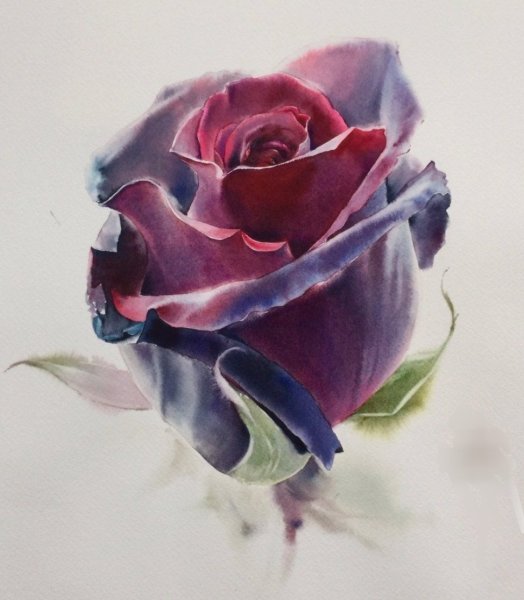 Ла Фе художник розы