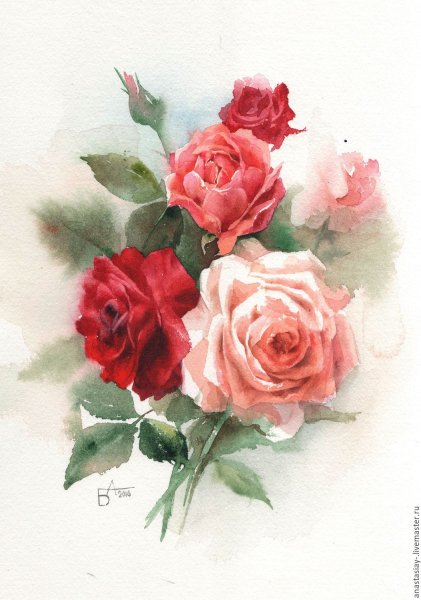 Акварель розы Анастасия Беседина