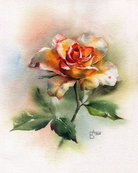 Цветы акварель Анастасии Бесединой