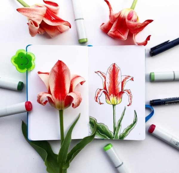 Листва маркерами