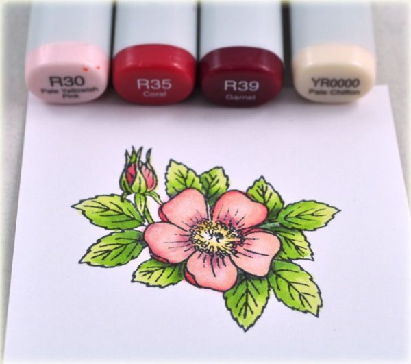 Флористический (Ботанический) скетчинг