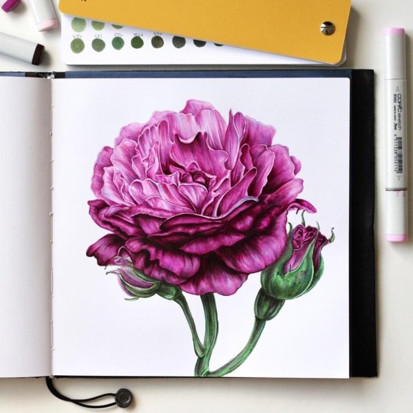 Зарисовки маркерами