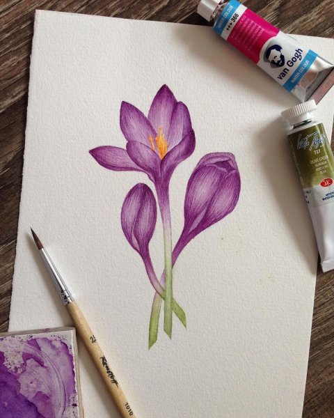 Скетчи маркерами для начинающих