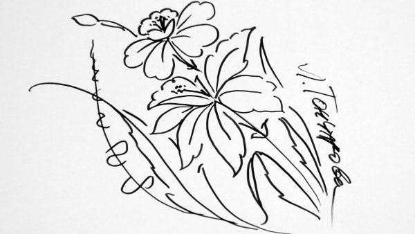 Рисунки для срисовки фломастерами