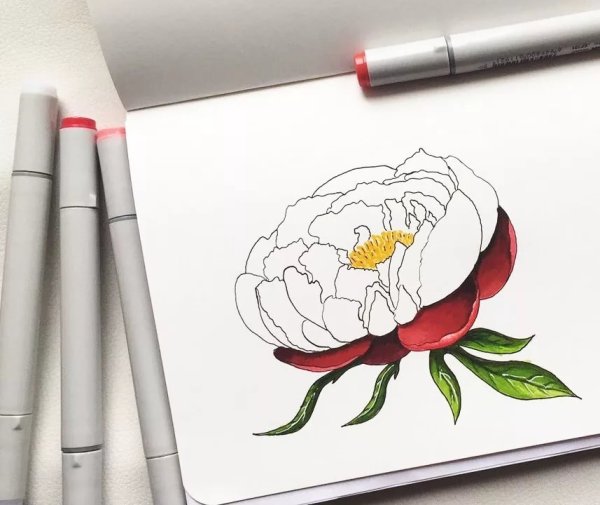 Цветы для рисования фломастерами