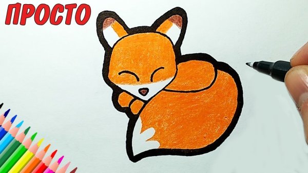 Рисунки Копик маркерами Lighane звери