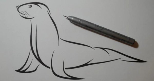 Рисунки для скетчбука лёгкие