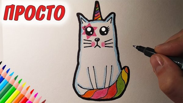 Кошка фломастерами