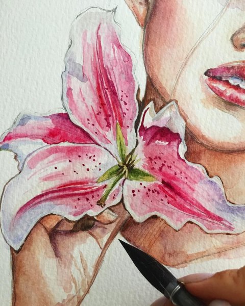 Скетч лилии акварелью