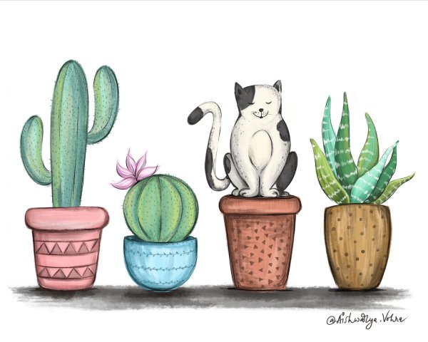 Милые кактусы для скетчбука