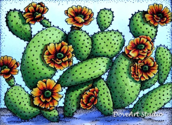 Кактус карандашом
