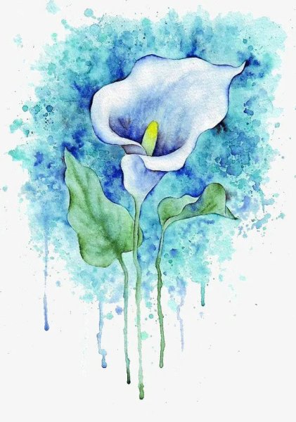 Зарисовки цветов акварелью