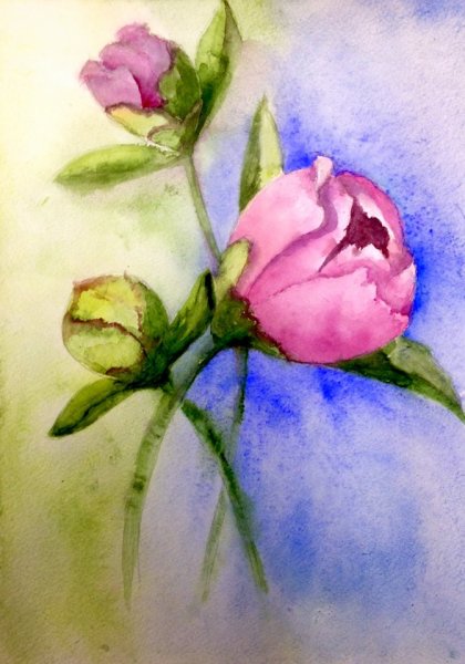 Рисунки акварелью