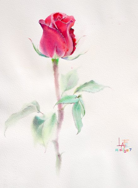 Цветы для рисования акварелью