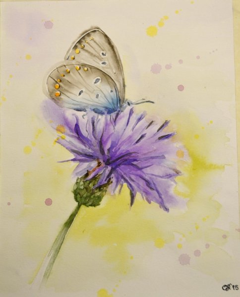 Цветы акварелью для начинающих