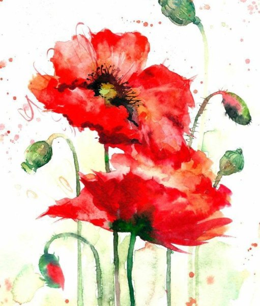 Рисунки акварелью легкие