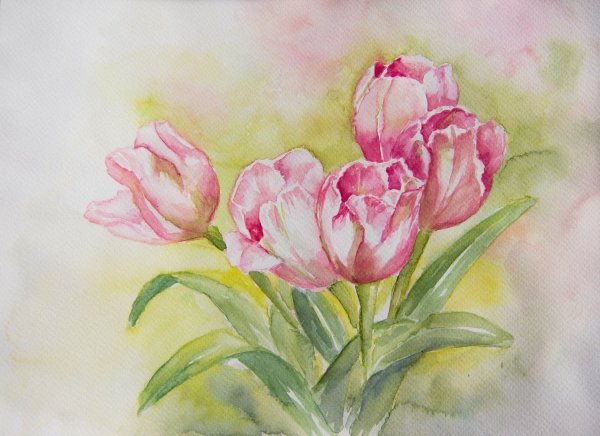 Рисунки акварелью