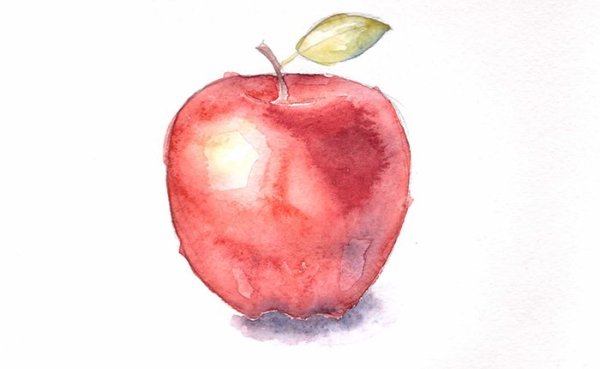 Простые цветы красками