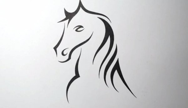 Рисунки чёрным фломастером