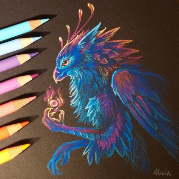 Alvia Alcedo рисунки