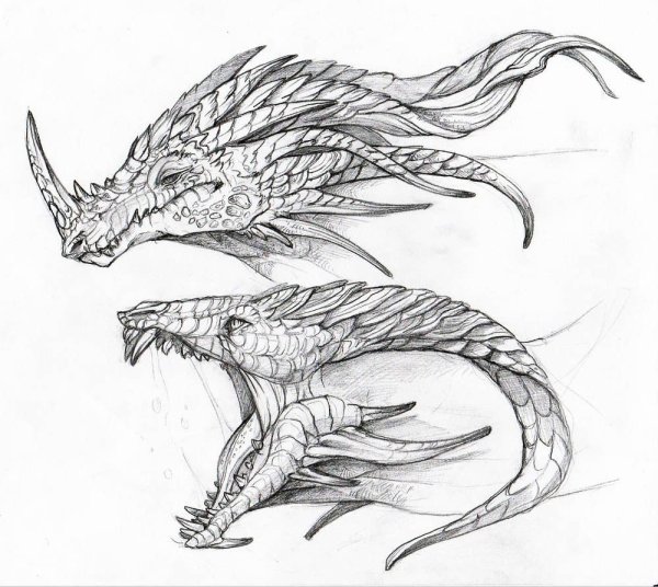 Мифические драконы