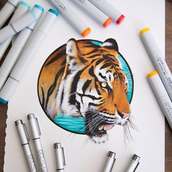 Красивые рисунки фломастерами