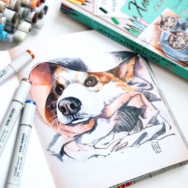 Рисунки маркерами для начинающих