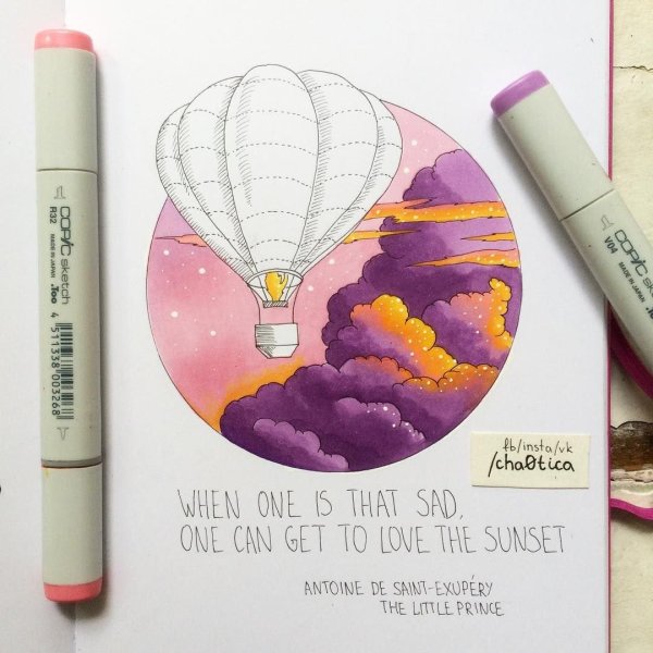 Кот маркерами