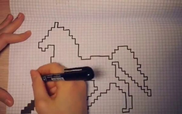 Рисунки по клеточкам летняя тема