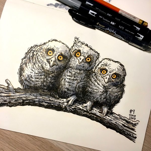 Сова маркерами