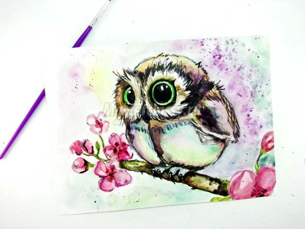 Сова скетчинг карандашом