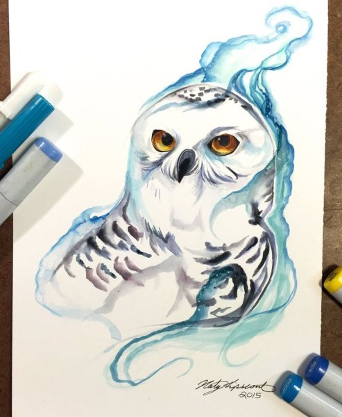 Рисование фломастерами Сова для детей