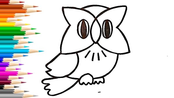 Сова цветная