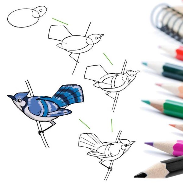 Урок рисования птицы фломастером
