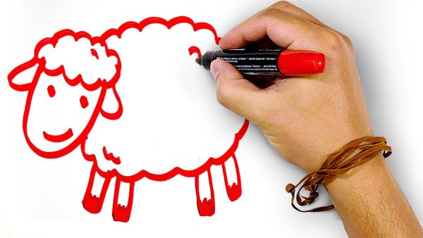 Рисунки красным маркером