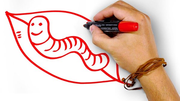 Роза маркерами