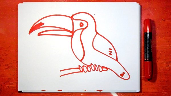 Рисунок легкий фломастером