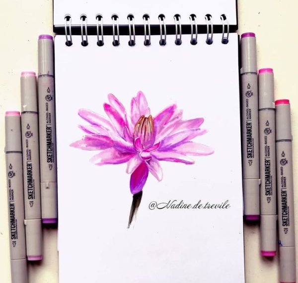 Рисунки для срисовки маркерами легкие