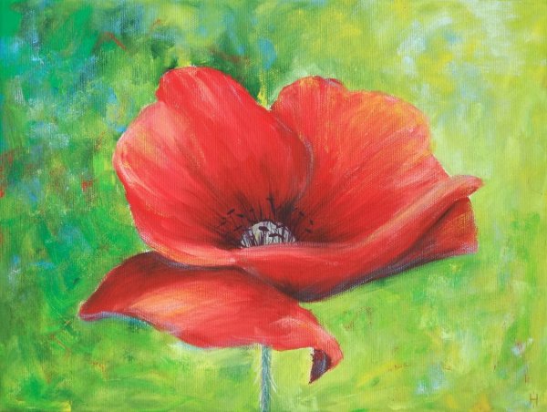 Маки рисунок