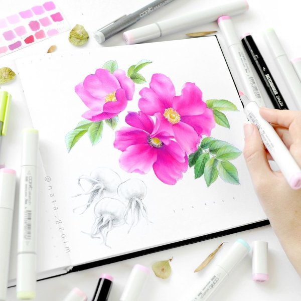 Цветы фломастерами